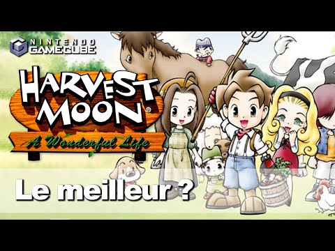 Harvest Moon: A Wonderful Life sur Game Cube