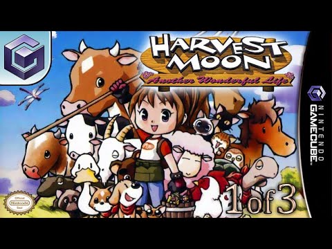 Image de Harvest Moon: Another Wonderful Life sur Game Cube
