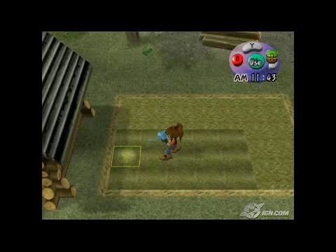 Capture de Harvest Moon: Another Wonderful Life sur Game Cube