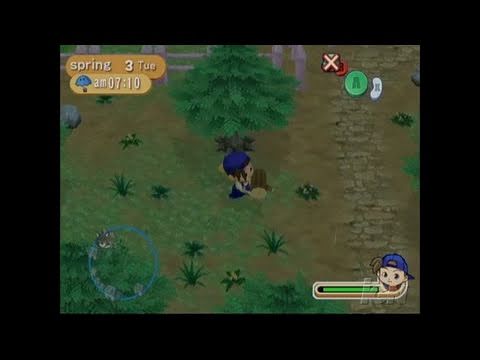 Harvest Moon: Magical Melody sur Game Cube
