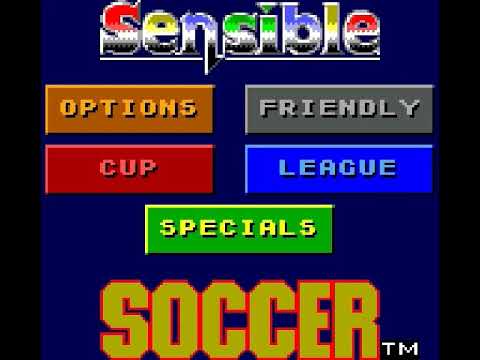 Scène de jeu de Sensible Soccer European Champions sur Game Gear