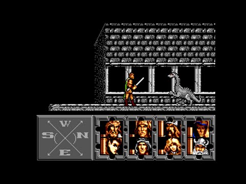 Photo de Heroes of the Lance sur Master System