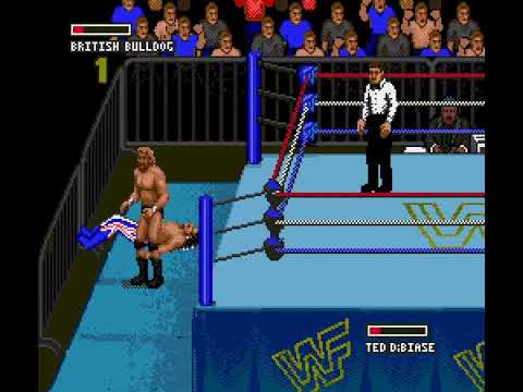 Photo de WWF Super WrestleMania sur Megadrive