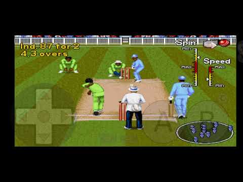 Image du jeu Brian Lara Cricket sur Megadrive PAL