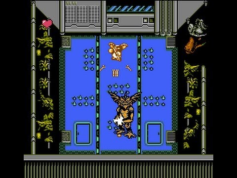 Screen de Gremlins 2 : The New Batch  sur Nintendo NES