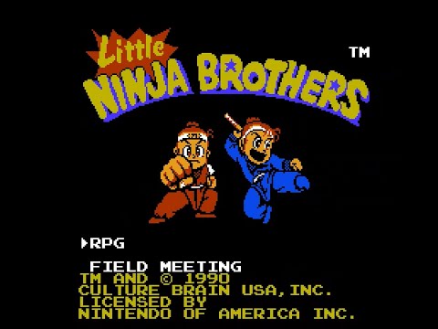 Image du jeu Little Ninja Brothers sur NES