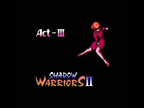 Screen de Shadow Warriors sur Nintendo NES