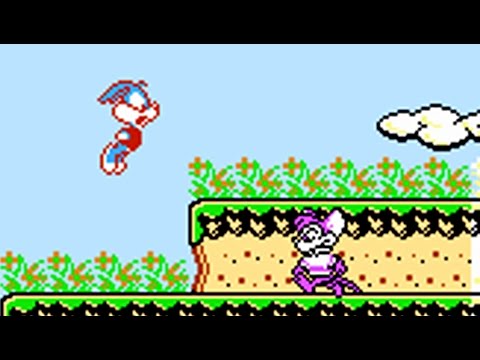 Image du jeu Tiny Toon Adventures sur NES