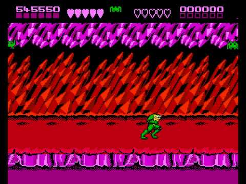 Image du jeu Battletoads  sur NES