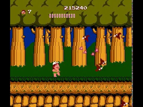 Illustration vidéo de Adventure Island Classic In the pacific  sur Nintendo NES