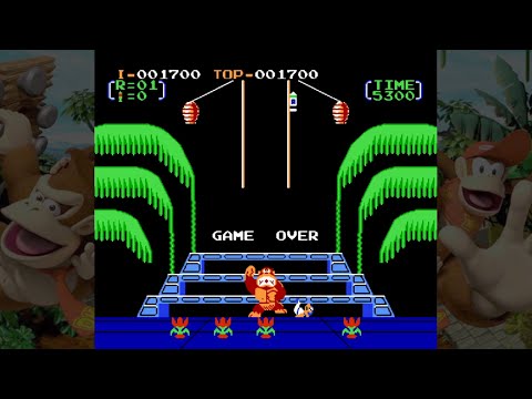Donkey Kong 3  sur NES