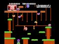 Image du jeu Donkey Kong Jr. sur NES