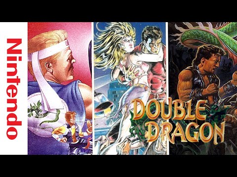 Image du jeu Double Dragon  sur NES