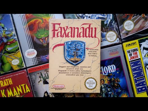 Image du jeu Faxanadu  sur NES
