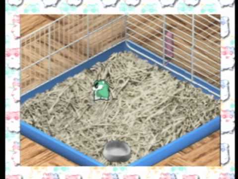 Photo de Hamster Monogatari 64 sur Nintendo 64