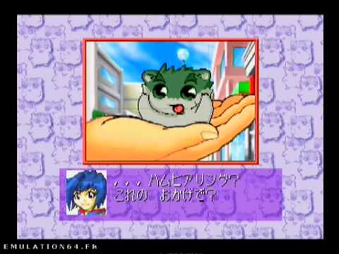 Screen de Hamster Monogatari 64 sur Nintendo 64