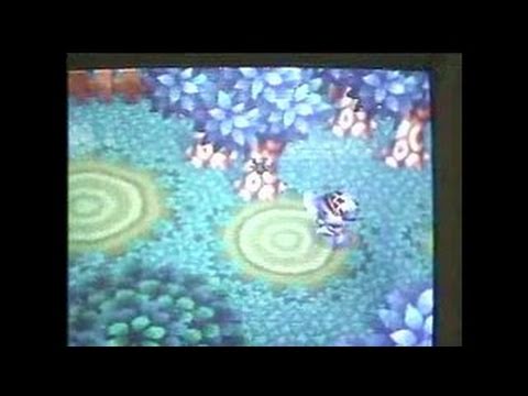 Dobutsu no Mori sur Nintendo 64
