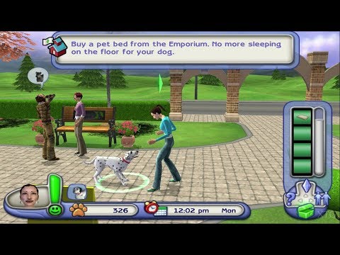 Screen de Les Sims 2 : Animaux & cie sur PS2