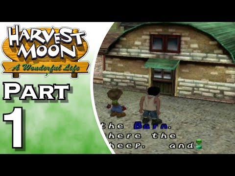 Screen de Harvest Moon A Wonderful Life sur PS2