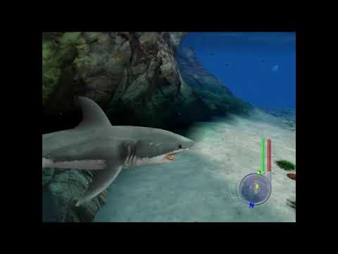Image du jeu Les Dents de la Mer sur PlayStation 2 PAL