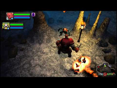 Dungeon Siege: Throne of Agony sur PSP