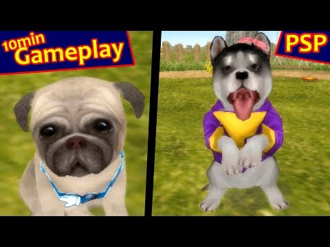 Aperçu du jeu Petz : Ma Famille Hamsters sur PSP