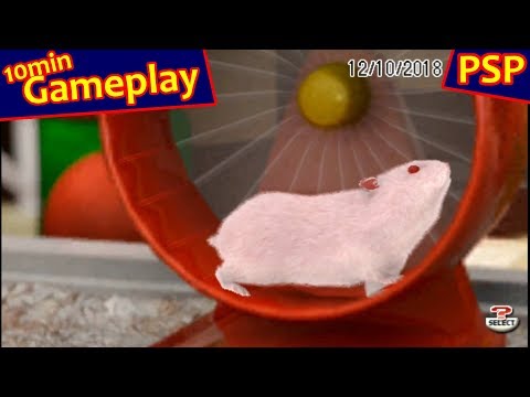 Scène de jeu de Petz : Ma Famille Hamsters sur PSP