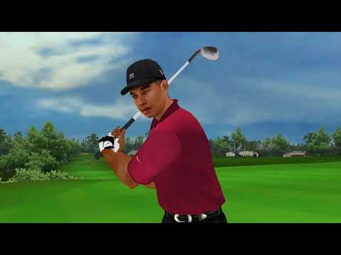 Tiger Woods PGA Tour 10 sur PSP