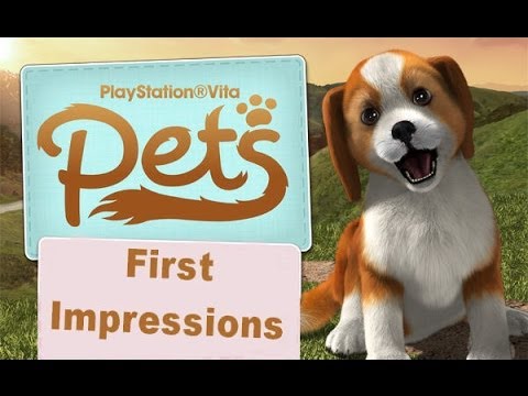 Image de PlayStation Vita Pets sur PS Vita