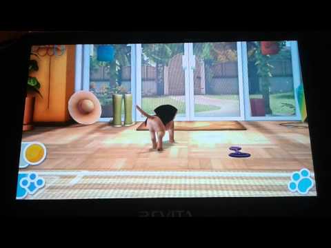 Scène de jeu de PlayStation Vita Pets sur PS Vita