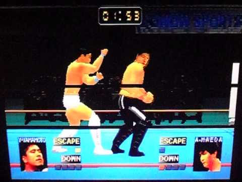 Image du jeu Fighting Network RINGS sur Playstation