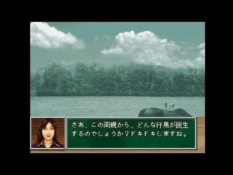 Image du jeu Jitsumei Jikkyou Keiba Dream Classic sur Playstation