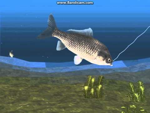 Screen de Reel Fishing II sur PS One