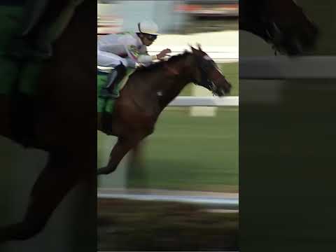 Aperçu du jeu Thoroughbred Tatsu no Eikan: The Winning Throughbreds sur PS One