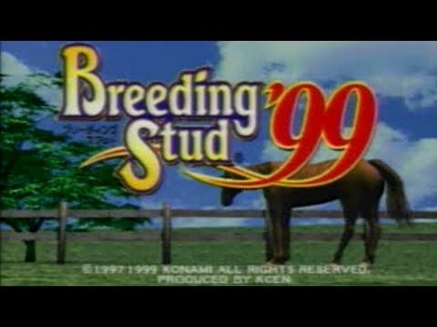 Image du jeu Breeding Stud 