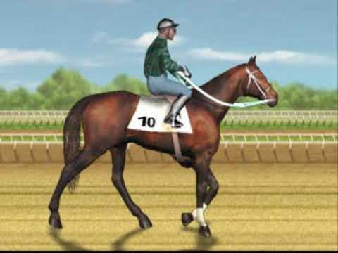 Image du jeu Derby Stallion sur Playstation