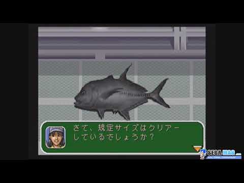 Fishing Koushien sur Sega Saturn