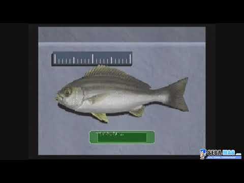 Image du jeu Fishing Koushien II sur Sega Saturn