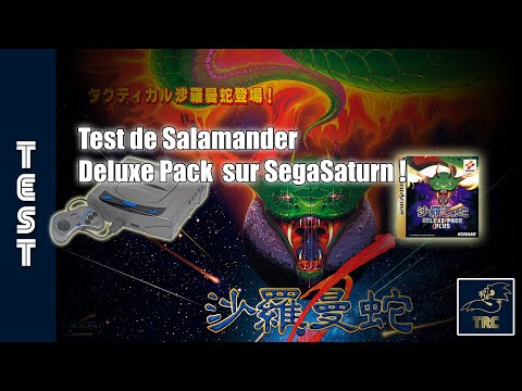 Image du jeu Salamander Deluxe Pack Plus sur Sega Saturn