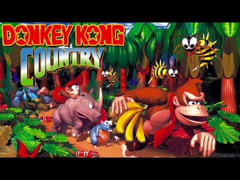 Image du jeu Donkey Kong Country sur Super Nintendo