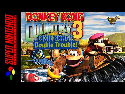 Image de Donkey Kong Country 3: Dixie Kong