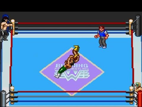 Image du jeu Gekitou Burning Pro Wrestling sur Super Nintendo