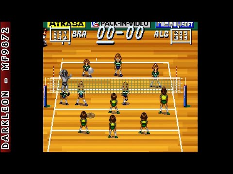 Image du jeu Multi Play Volleyball sur Super Nintendo
