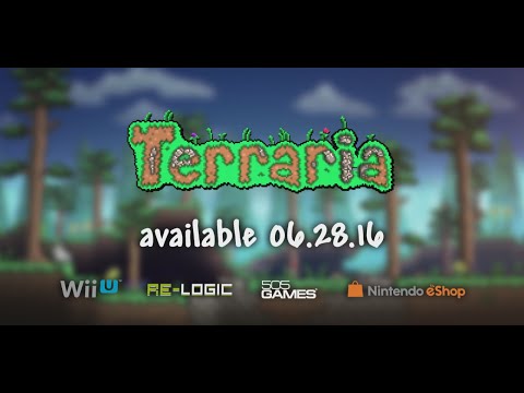 Photo de Terraria sur Wii U