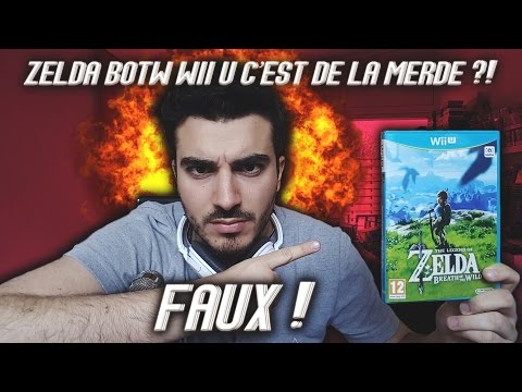 Capture de The Legend of Zelda: Breath of the Wild sur Wii U