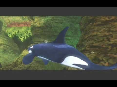 Scène de jeu de SeaWorld: Shamu's Deep Sea Adventures sur Xbox