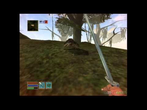 Image de The Elder Scrolls III: Morrowind sur Xbox