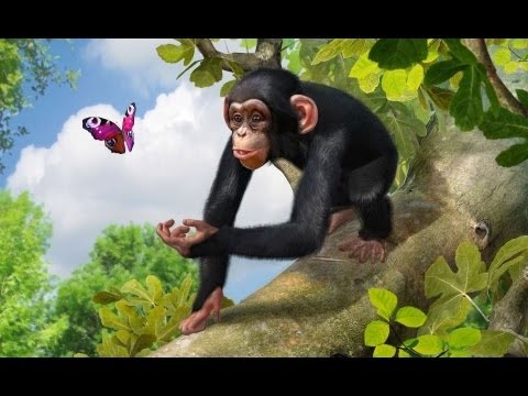 Photo de Zoo Tycoon sur Xbox 360